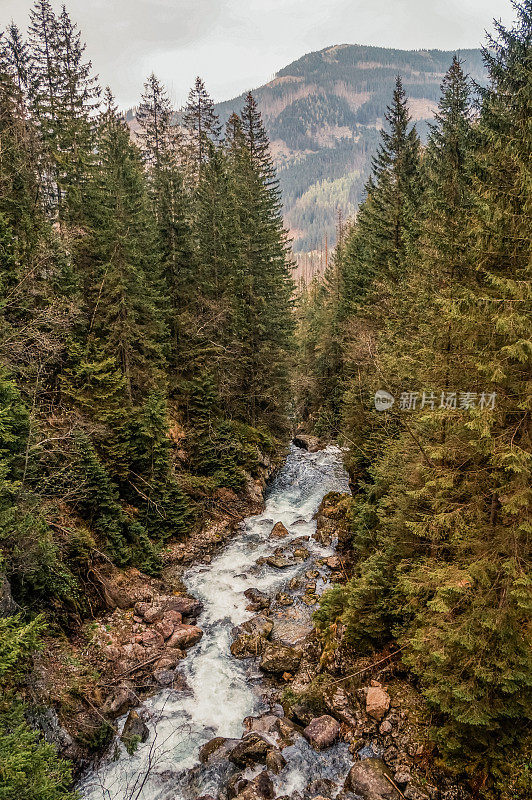 波兰塔特拉国家公园，Morskie Oko, Sea Eye，河边被树木和石头包围，背景是山丘